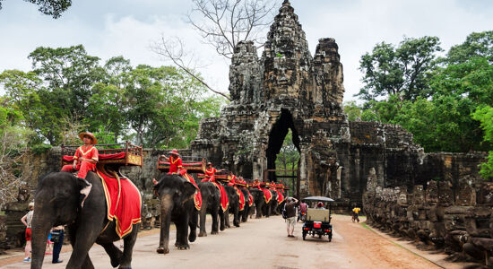 Angkor Thom Temple Elephants